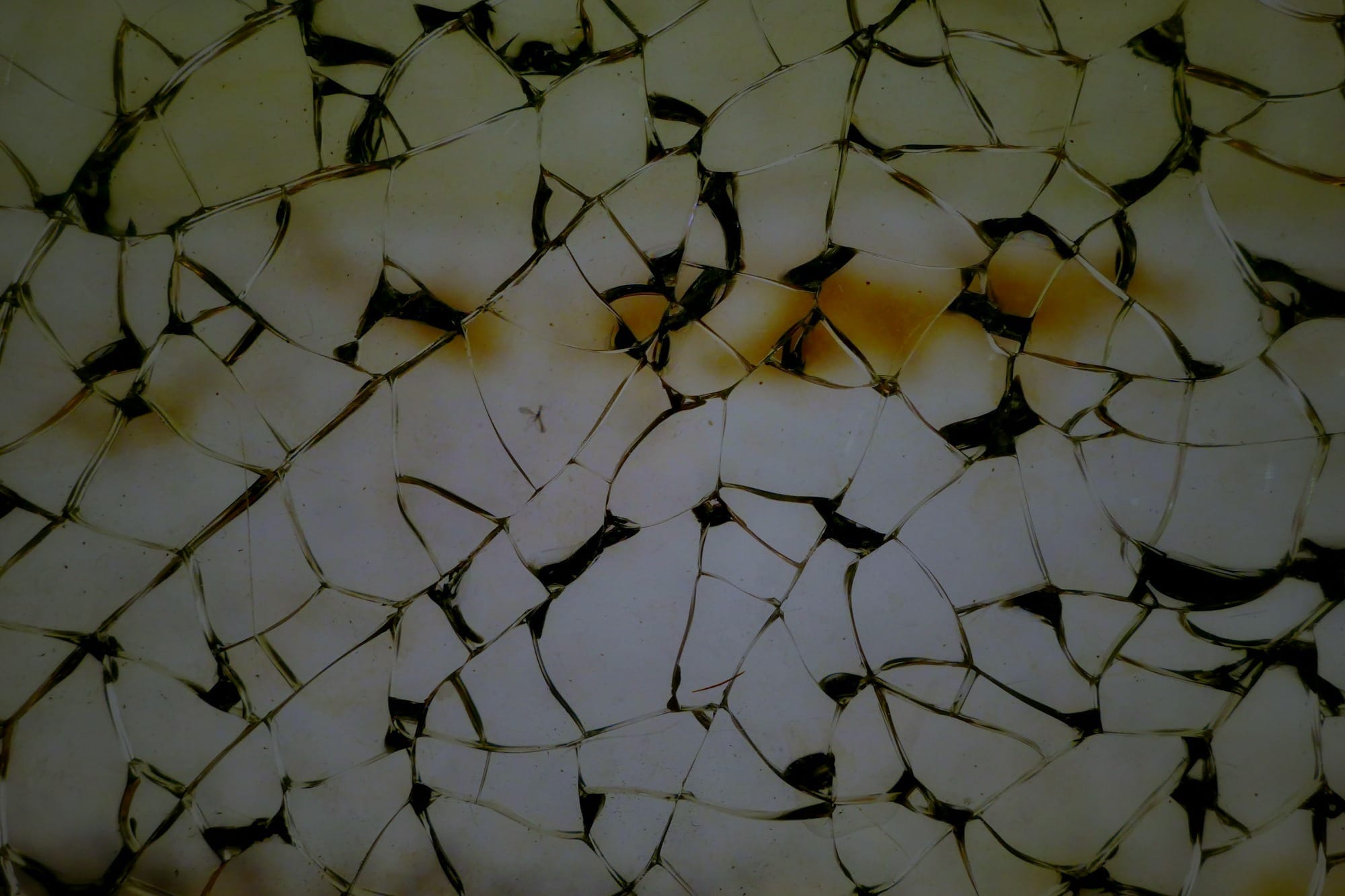 beige surface